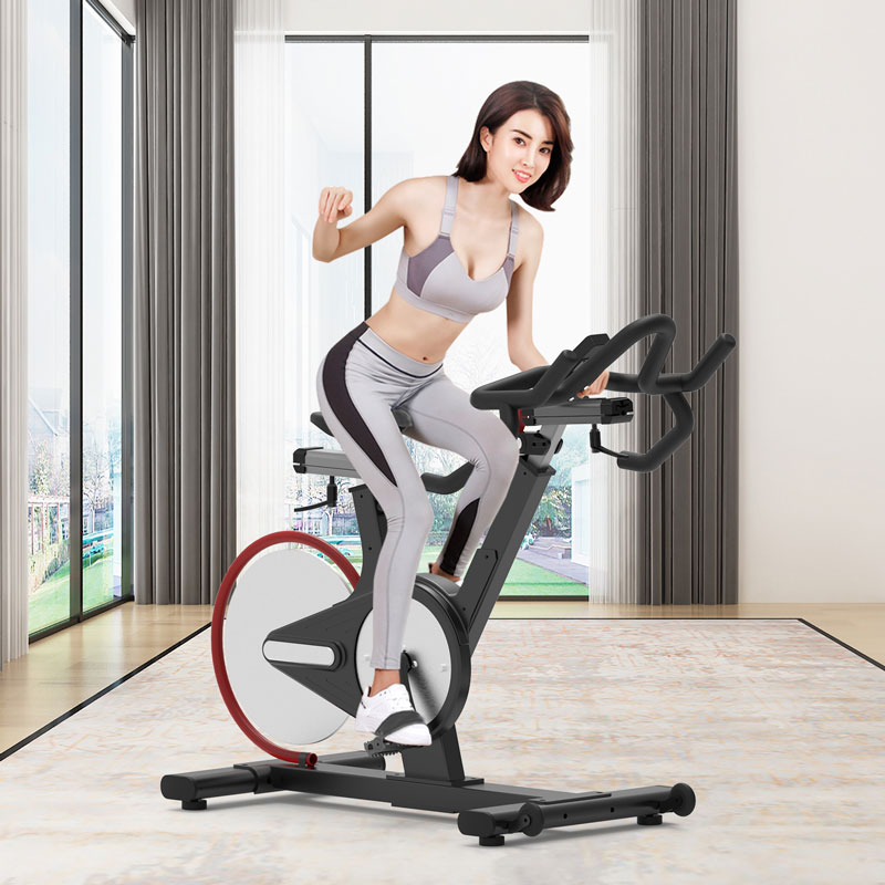 BSE-106专业健身房动感单车大图展示1