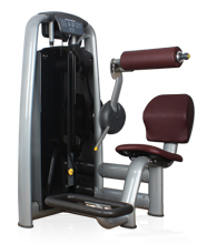 BFT2017 背肌后压训练器 健身房室内力量训练器材